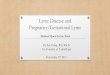 Lyme Disease and Pregnancy/Gestational Disease and Pregnancy/Gestational Lyme Mothers’ Quest for the Truth By Sue Faber, RN, BScN Co-Founder of LymeHope November 3rd 2017. • 