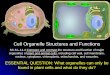 Cell Organelle Structures and Functions - Science Rules! · Cell Organelle Structures and Functions SC.6.L.14.4 Compare and contrast the structure and function of major organelles