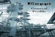 Engineering for the Petroleum & Process Industries - ENPPI Profile.pdf · Engineering for the Petroleum & Process Industries - ENPPI ENPPI at a Glance Engineering for the Petroleum