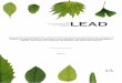 Law Environment and DevelopmentJournal - lead … ·  · 2010-05-04Environment and Development Journal ... School of Oriental and African Studies ... This document can be cited as