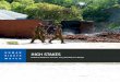 HUMAN HIGH STAKES - Human Rights Watch | Defending … ·  · 2017-07-19respect international human rights law. ... High Stakes Political Violence and the 2013 Elections in Kenya