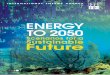 FutureSustainable TO 2050ENERGY · scenario with some variants. ... Building a Reference Framework 120 A Normative Case: the SD Vision Scenario 123 Energy to 2050: Scenarios for a