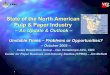 State of the North American Pulp & Paper Industry Overview North America Pulp & Paper Industry --Update & Outlook Where are We? Industry Performance Economy Grade-By-Grade Discussion