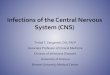 Infections of the Central Nervous System (CNS) of the Central Nervous System (CNS) Tirdad T ... • Other antifungal agents used successfully in CNS infections ... MRI regardless of