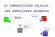 Presentación de PowerPoint - Aprendiendo y Haciendo …€¦ · PPT file · Web view · 2011-08-10Etapas de la comunicación celular Los mensajeros extracelulares se pueden unir