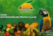 CASO: EXPORTACION DE FRUTAS A LA UE - …trade.ec.europa.eu/doclib/docs/2013/june/tradoc_151548.pdf- Sector importador de frutas alemán visita Colombia y se dispara la demanda por