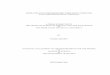 SIMULATION ON INTERFEROMETRIC FIBER OPTIC GYROSCOPE … · simulation on interferometric fiber optic gyroscope with amplified optical feedback a thesis submitted to the graduate school