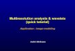Multiresolution analysis & wavelets (quick tutorial) - …picabia.u-strasbg.fr/paseo/slides/tutwav.pdf · 2 Multiresolution analysis Set of closed nested subspaces of j = scale, resolution