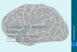 Learning and Memory Chapter 12 - College of the Canyons Chap 12… · Learning and Memory Chapter 12 * Garrett: Brain & Behavior 4e 1. ... Figure 12.7: Recordings from ... Memory