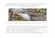 A Natural History Summary and Survey Protocol for the ... · A Natural History Summary and Survey Protocol for the Western Distinct Population Segment of the Yellow-billed Cuckoo