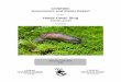 Haida Gwaii Slug,Staala gwaii - registrelep … · COSEWIC Assessment and Status Report . on the . Haida Gwaii Slug . Staala gwaii . in Canada . SPECIAL CONCERN 2013