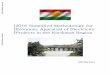 KRG Methodology Electricity Projects - World Bankdocuments.worldbank.org/curated/en/158951475039279354/...2016 Simplified Methodology for Economic Appraisal of Electricity Projects