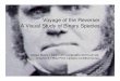 Voyage of the Reverser A Visual Study of Binary Species · Voyage of the Reverser A Visual Study of Binary Species ... G. Conti, S. Bratus, B ... Roy Ragsdale, Robert Perez-Alemany,