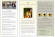 Cialis oryginalne opakowanie - Valley Girls …Translate this page Reg Brochure.pdf%PDF-1.3 %Äåòåë§ó ÐÄÆ 4 0 obj > stream