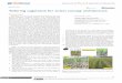 Tailoring sugarcane for smart canopy architecturemedcraveonline.com/APAR/APAR-08-00304.pdfTailoring sugarcane for smart canopy architecture Submit Manuscript | in its theoretical yield