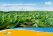 Nutrient Management Guide (RB209) · Nutrient Management Guide (RB209) ... Section 6: Vegetables and bulbs that incorporates key guidance on assessing soil nitrogen supply and relevant