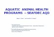 AQUATIC ANIMAL HEALTH PROGRAMS SEAFDEC AQD … ·  · 2013-11-13AQUATIC ANIMAL HEALTH PROGRAMS – SEAFDEC AQD ... Research on parasitic and shell diseases of abalone ... important