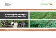 Cassava system cropping guide - · PDF file3 2. Cassava cropping systems Cassava production in Africa occurs within a variety of cropping systems which, on a given parcel of land,