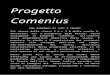 Progetto Comenius - … · Web viewProgetto Comenius. UNA SINFONIA DI LUCI E COLORI. Gli alunni delle classi 3 A e 3 B della scuola A. Brustolon, con l’insegnante Egle Piaser, hanno