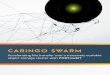 CARINGO SWARM - Bridgeworks€¢ Caringo Swarm v.7.5.4 • Caringo FileJet v.1.5 HARDWARE: Host • Dell R710 with 2 x Intel XEON E5506 processors @ 2.13GHz, 8GB RAM and 1 x 240GB