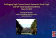 That Nagging Cough: Common Causes & Treatment of Chronic ... Conference Presentations...That Nagging Cough: Common Causes & Treatment of Chronic Cough CANP 38th Annual Educational