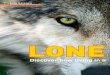 LONE WOLF? - Living with Wolves · LONE WOLF? Discover how living in a group helps wolves survive. Life Science INTERDEPENDENT RELATIONSHIPS Read about a wolf’s food web