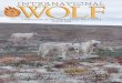 Features - International Wolf Center · Features THE QUARTERLY PUBLICATION OF THE INTERNATIONAL WOLF CENTER VOLUME 18, NO. 4 WINTER 2008 On The Cover ... book Wolves: Behavior, Ecology…