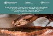 Monitoring Food Security and Nutrition in Support of the ... · 1 Monitoring food security and nutrition under ... food security and malnutrition as defined by the ... FOOD SECURITY