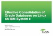 Effective Consolidation of Oracle Databases on … Consolidation of Oracle Databases on Linux on IBM System z Steffen Thoss System z Virtualization and Linux PDT lead, IBM stethoss@cn.ibm.com