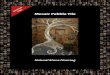 Mosaic Pebble Tile - CADdetails | Free CAD drawings, … 2 Mosaic Pebble Tile A pebble mosaic installation is an exceptional feature within any design, giving you the look of a hand