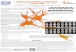 EXPLORATION OF NEURAL CORRELATES OF …anfarch.org/wp-content/uploads/2013/11/Martinez-SotoPoster.pdf · EXPLORATION OF NEURAL CORRELATES OF RESTORATIVE ENVIRONMENT EXPOSURE THROUGH