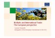 Biofuels and International Trade: The European perspective · Bioethanol 129 142 164 243 413 340 451 580 956 1440 413 243 ... highly bio diverse grasslands) ... Factsheet - Biofuels