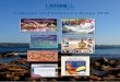 Calendar and Stationery Range 2018 - Bartel Calendarsbartelcalendars.com.au/brochures/files/Bartel_2018_AUS_Calendar... · Calendar and Stationery Range 2018. RUBY CALENDARS | 300