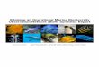 Attaining an Operational Marine Biodiversity … an Operational Marine Biodiversity Observation Network (BON) Synthesis Report Steering Committee: Linda Amaral-Zettler, J. …