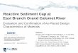 Reactive Sediment Cap at East Branch Grand Calumet 2017...Reactive Sediment Cap at East Branch Grand Calumet River ... Log Koc Conc at 100 yrs Conc at 200 yrs Conc at 300 yrs Conc