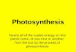 Photosynthesis - Dwight Public Schools Photosynthesis.pdf · Photosynthesis & Light •Jan Ingenhousz later tested a similar experiment and found that the experiment only worked in