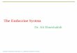 The Endocrine System - Imune System.pdf · Copyright © 2006 Pearson Education, Inc., publishing as Benjamin Cummings Follicle-stimulating hormone (FSH) -- stimulates the production