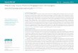 Maternity Care Patient Engagement Strategies (Integrated ... · health system transformation through a four pronged approach: data submission for measurement/quality improvement,