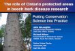 The role of Ontario protected areas in beech bark disease ...casiopa.mediamouse.ca/.../01/McLaughlin-casiopa.pdf · The role of Ontario protected areas in beech bark disease research