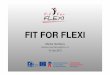 FIT FOR FLEXI fileFIT FOR FLEXI • Summary: • Basic information • Target groups • Project Objectives • Roles of the Partners • Key activities • Project outputs
