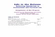 Life in the Balance - American Bar Association · Life in the Balance Achieving Equilibrium in Professional and Personal Life Compilation of Bar Projects Compiled by the American