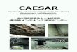 CAESAR - 国立研究開発法人 土木研究所 -PWRI- Center for Advanced Engineering Structural Assessment and Research, Public Works Research Institute 国 研究開発法 研究所