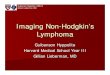 Imaging Non-Hodgkin’s Lymphoma Guibenson …eradiology.bidmc.harvard.edu/LearningLab/respiratory/Hyppolite.pdfImaging Non-Hodgkin’s Lymphoma Guibenson . Guibenson Hyppolite Harvard