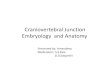 Craniovertebral Junction Embryology and Anatomyaiimsnets.org/NeurosurgeryEducation/NeurosurgicalSpecialties... · Craniovertebral Junction Embryology and Anatomy CVJ-Embryology &