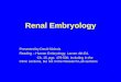 Renal Embryology - Creighton University · 1 Renal Embryology Presented by David Nichols Reading – Human Embryology, Larsen 4th Ed. Ch. 15, pgs. 479-500, including In the Clinic