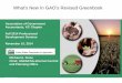 What’s New In GAO’s Revised Greenbook - kcaga-cgfm.org Fiene.pdf · What’s New In GAO’s Revised Greenbook Association of Government Accountants, ... What is the difference