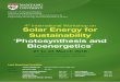 th International Workshop on Solar Energy for … International Workshop on Solar Energy for Sustainability “Photosynthesis and Bioenergetics” 21 to 24 March 2016 Nanyang Executive