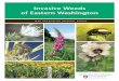 Invasive Weeds of Eastern Washingtoncru.cahe.wsu.edu/CEPublications/EM005/EM005.pdf · Invasive Weeds . of Eastern Washington. Stephen M. Van Vleet, ... Use only weed-free seed, soil,
