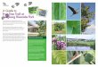 A Guide to Fruit Tree Trail at Sengkang Riverside Park Tree Trail at Sengkang Riverside Park A Guide to This walking trail at Sengkang Riverside Park provides you the opportunity to