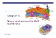 Chapter 8. Movement across the Cell Membrane. AP Biology 2005-2006 Cell ... “passive transport ... Active transport diffusion against concentration gradient